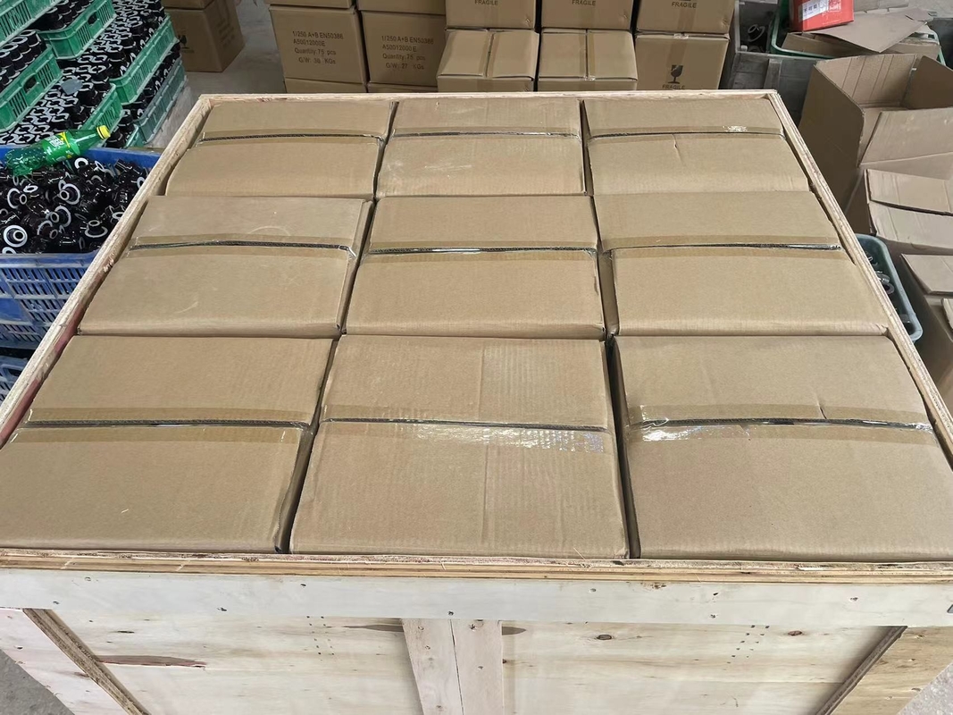 दीन मानक 1kV 250A ट्रांसफार्मर चीनी मिट्टी के बरतन झाड़ी CD70MM OEM